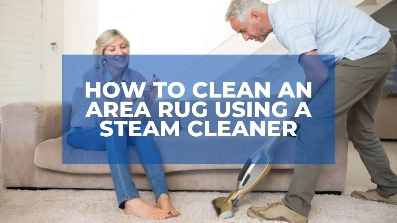 How Much To Steam Clean Area Rug at Candace Roland blog
