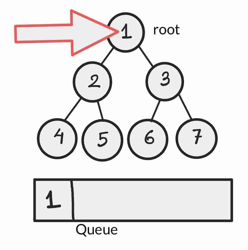 Binary Tree Level Order Traversal Level Order Traversal of Tree in Java