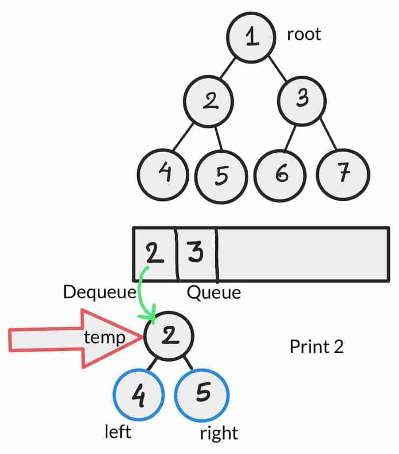 Binary Tree Level Order Traversal Level Order Traversal of Tree in Java