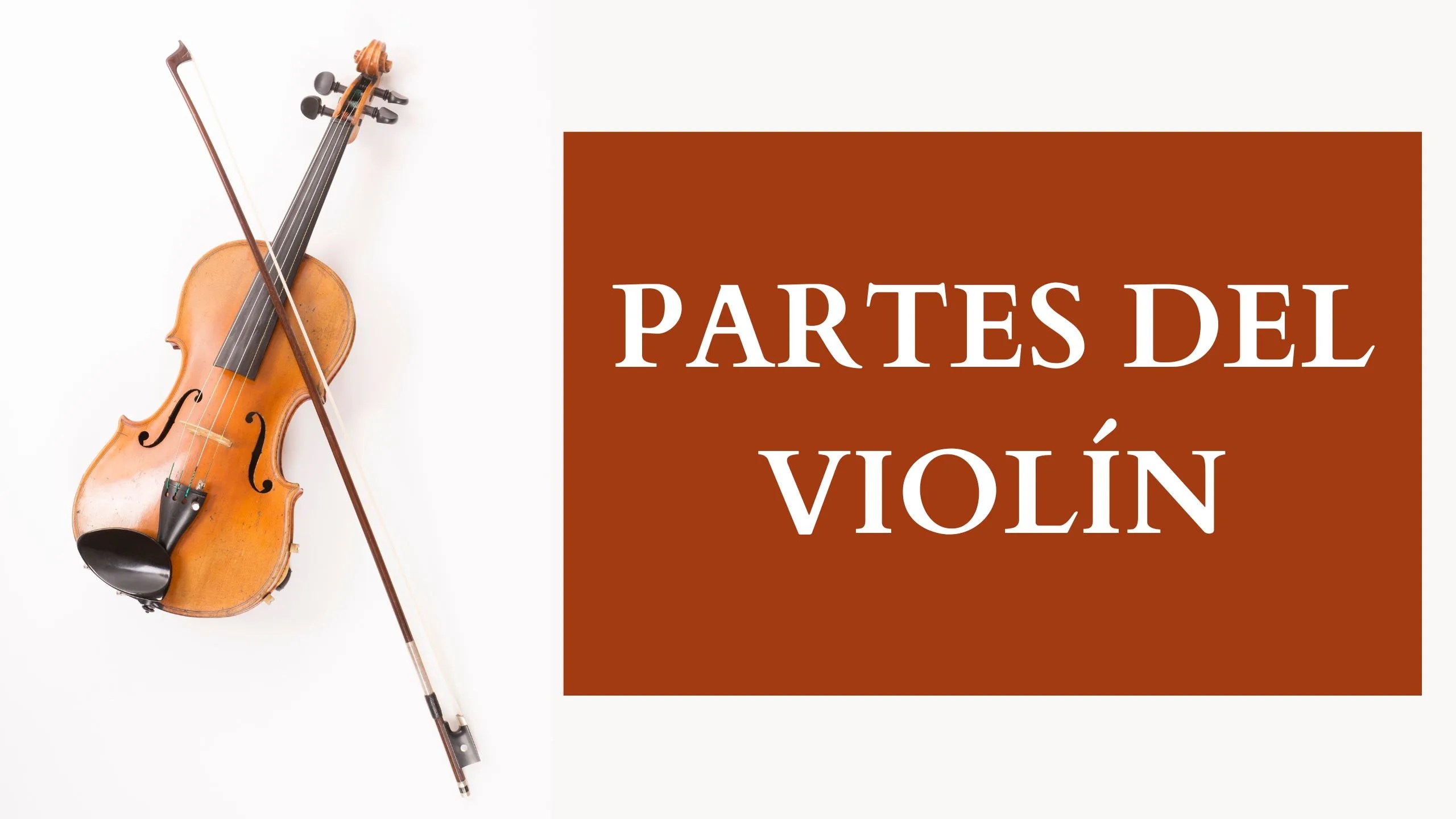 Partes del violín