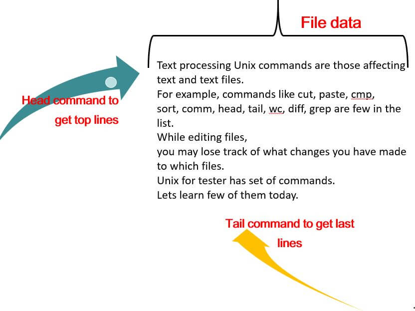 Text Processing Unix Commands cut,paste,head,tailto manipulate text in Unix Tutorials Hut