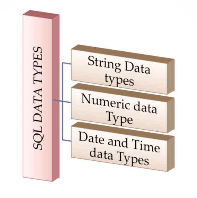 SQL DataTypes String , Numeric and DateTime Tutorials Hut
