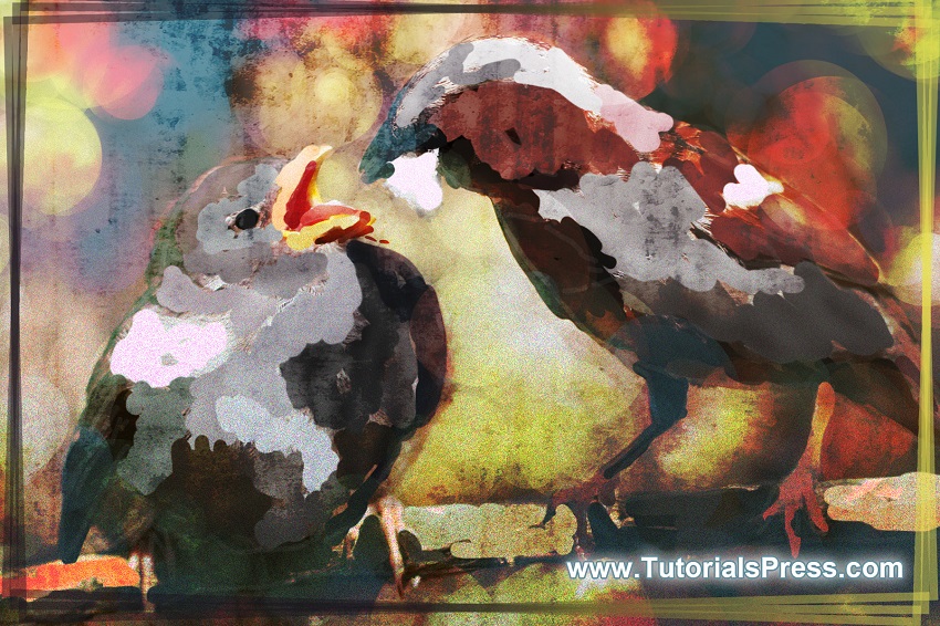 Create a Digital Painting from a Photo in Adobe Tutorial