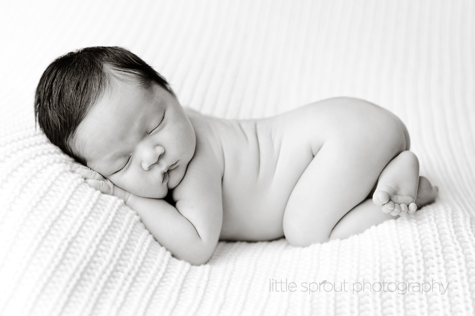Top 10 Best Cameras for Newborn Photography for Any Budget