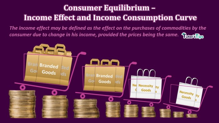 | Net Income and Proportion of Consumption Expenditures on Net Income ... | Net Income and Proportion of Consumption Expenditures on Net Income ...