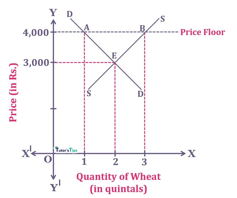 Price Floor Meaning and its Graphical Representation Tutor's Tips