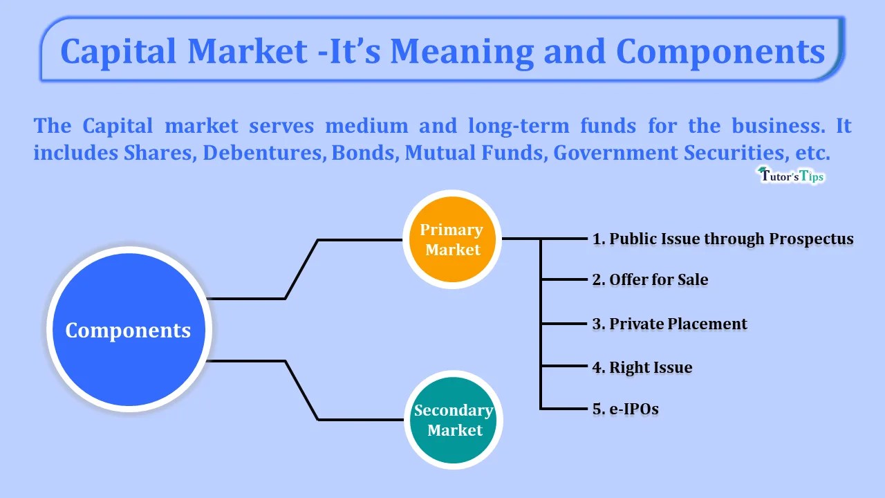 Capital Market Its Meaning and Components Tutor's Tips