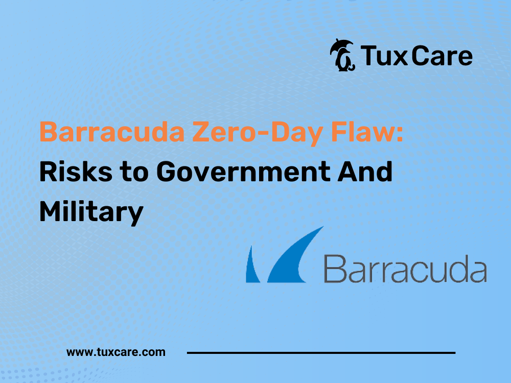 Barracuda ZeroDay Flaw Risks to Government And Military