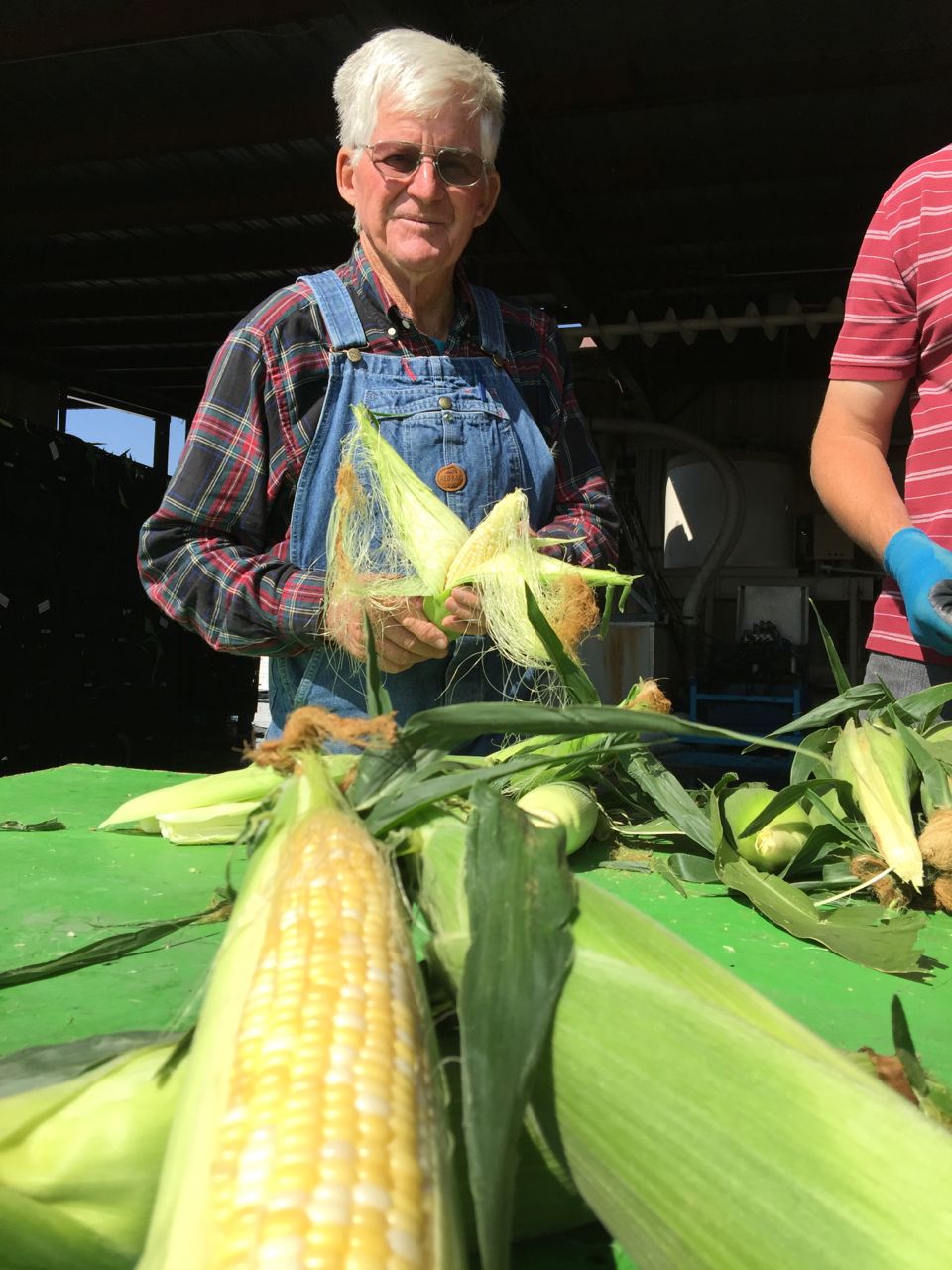 Where to Buy Olathe Sweet Sweet Corn Olathe, Colorado