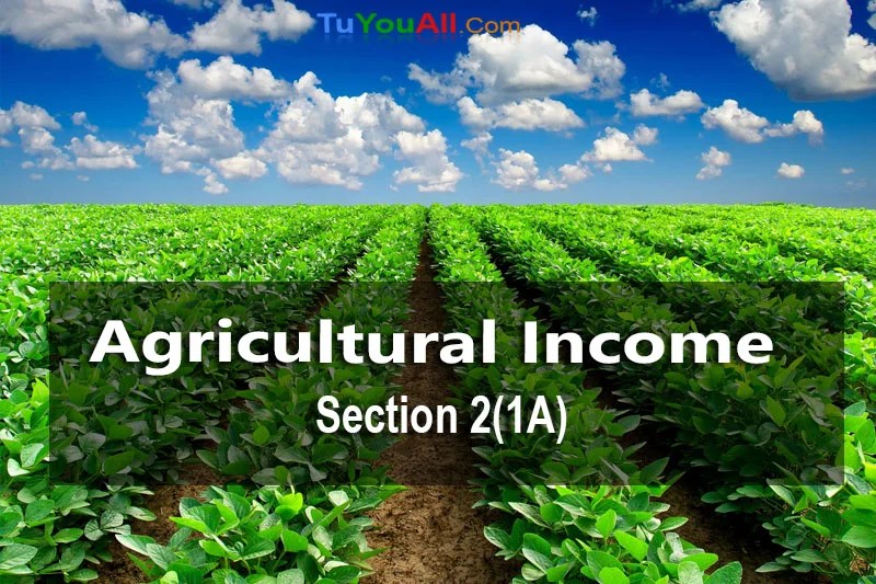 Agricultural And Its Tax Treatment [Section 2(1A)]