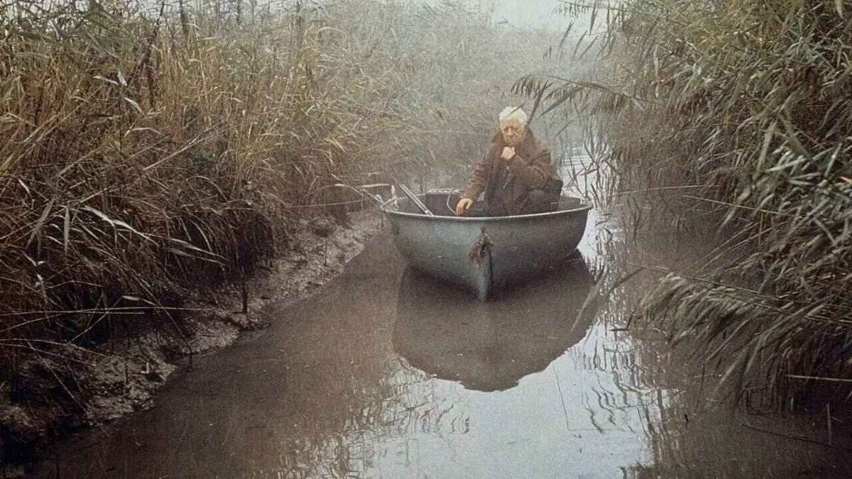 La horse (Film) où regarder TV, Replay, Streaming