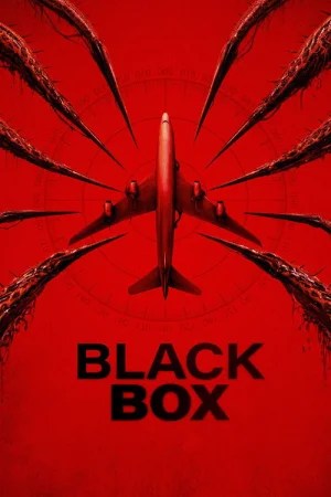 Black Box (Flight 298)