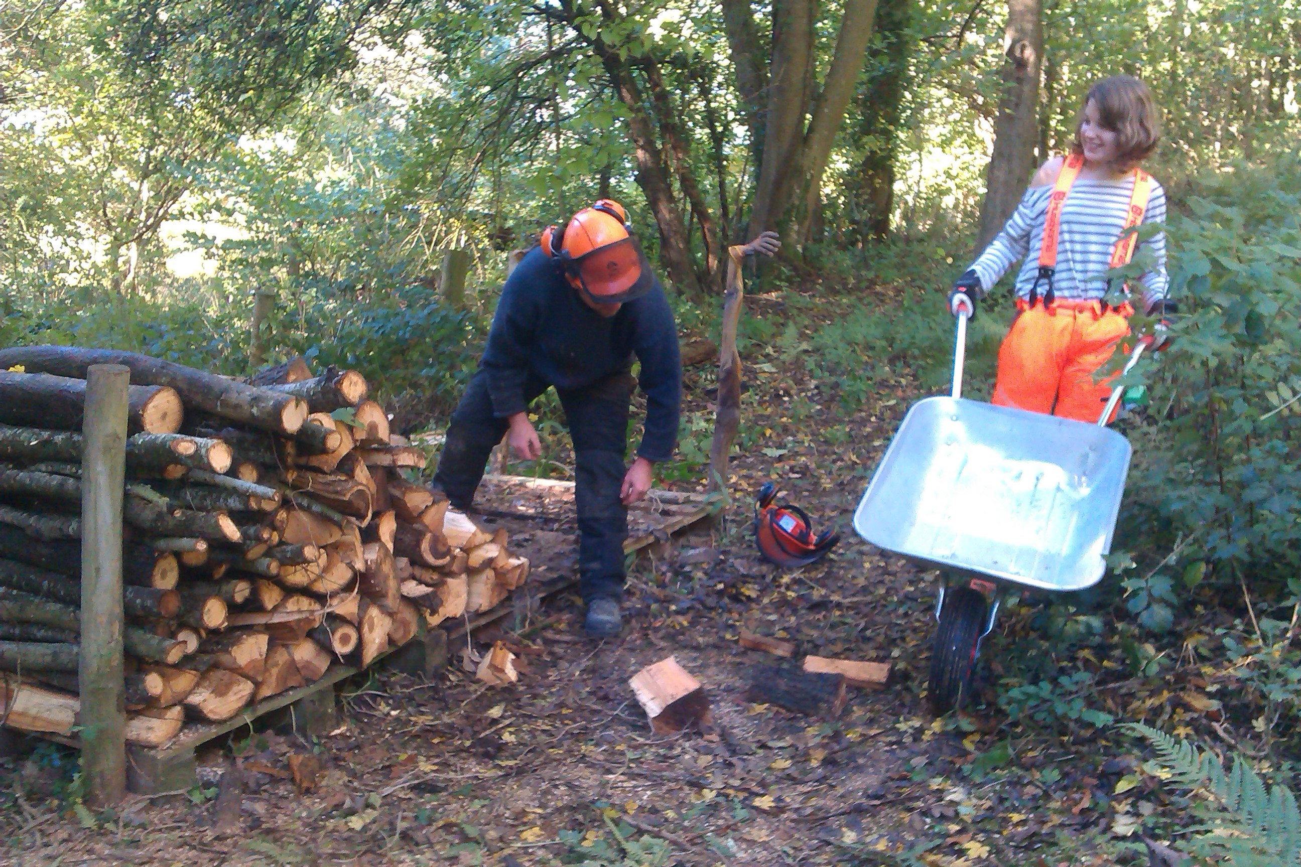 Knighton Community Woodlands Group
