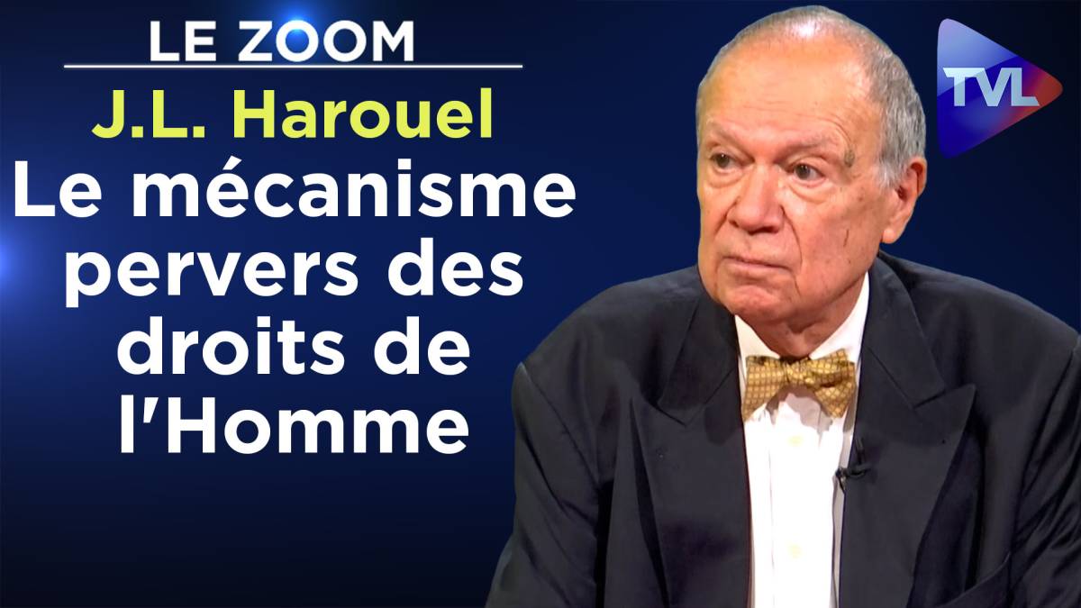 Zoom JeanLouis Harouel Le mécanisme pervers des droits de l'Homme