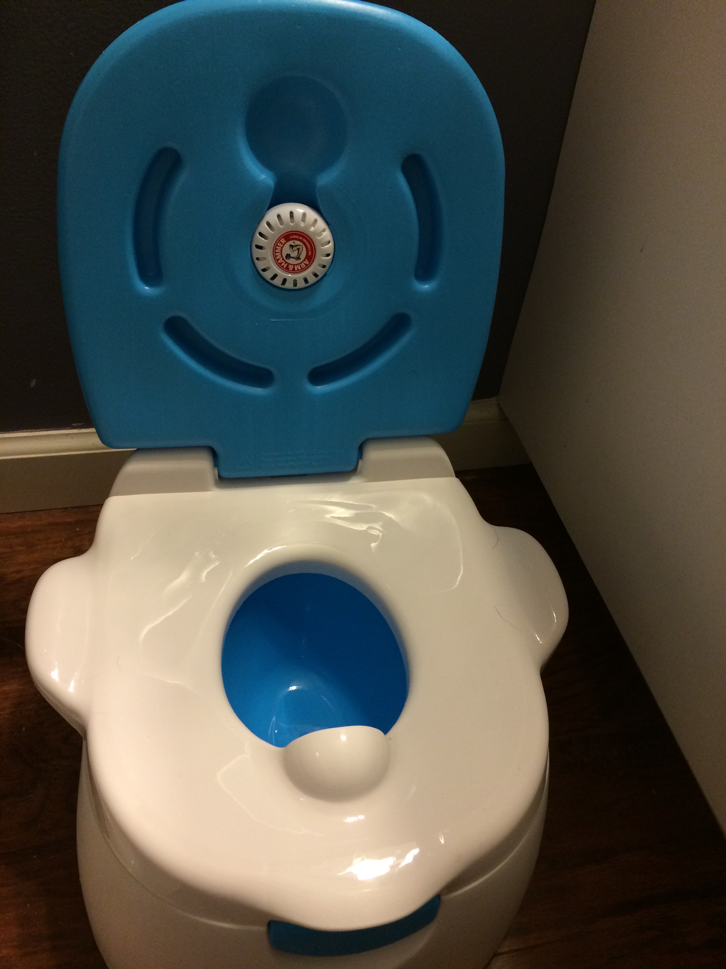 Too Soon To Potty Train? The TV Mommy