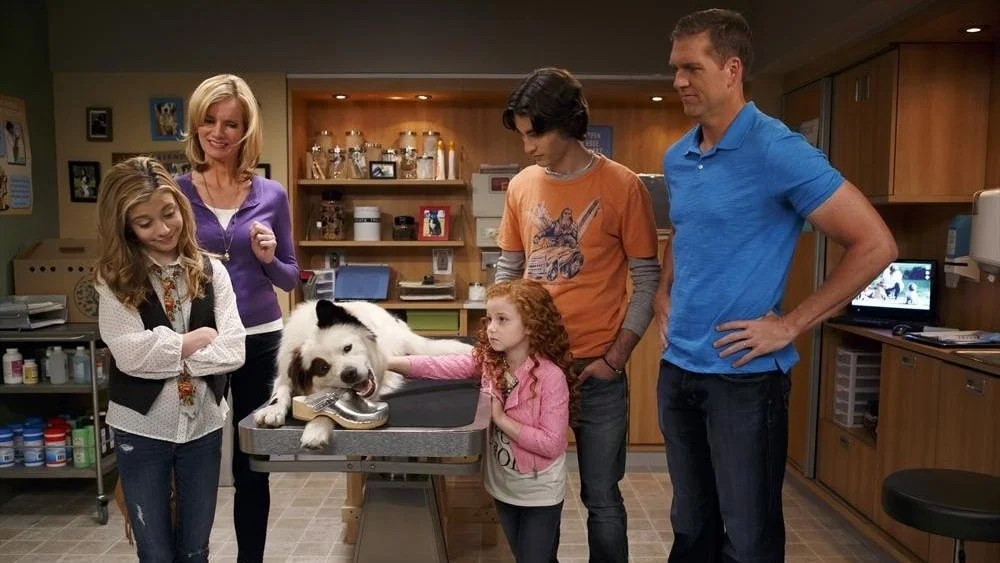The 8 Best TV Shows about Dogs