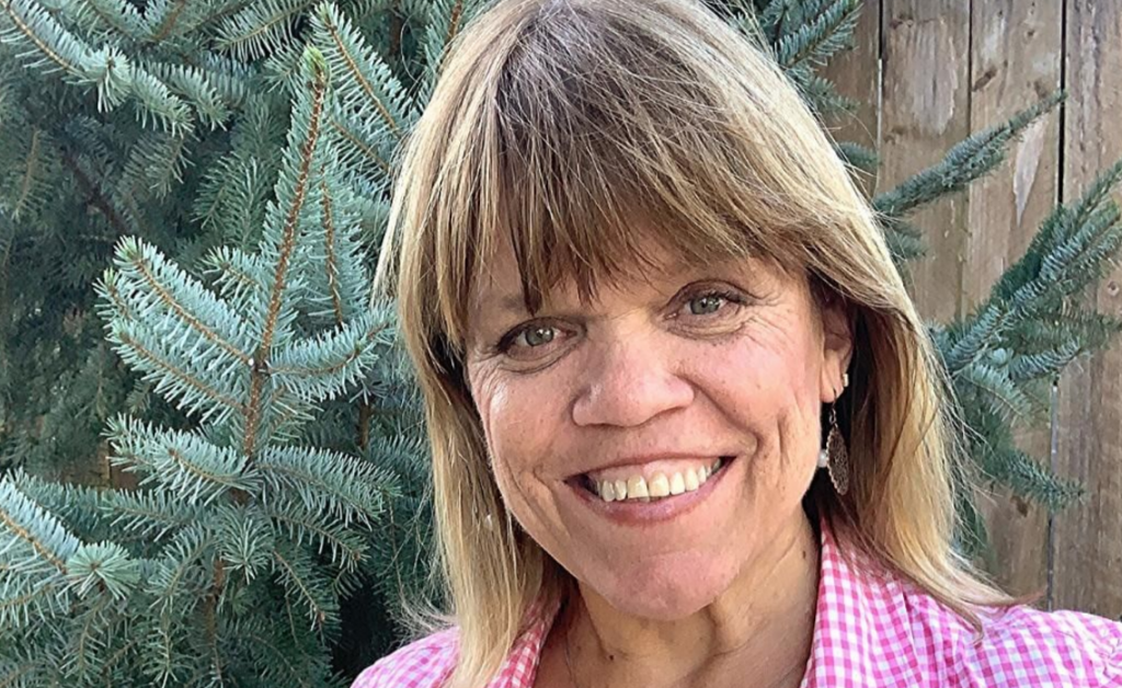 What Is Amy Roloff's Net Worth As 2020 Comes To An End?