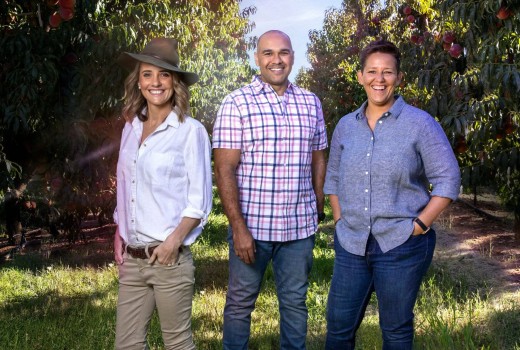 Airdate: Movin' to the Country - Vimarsana News