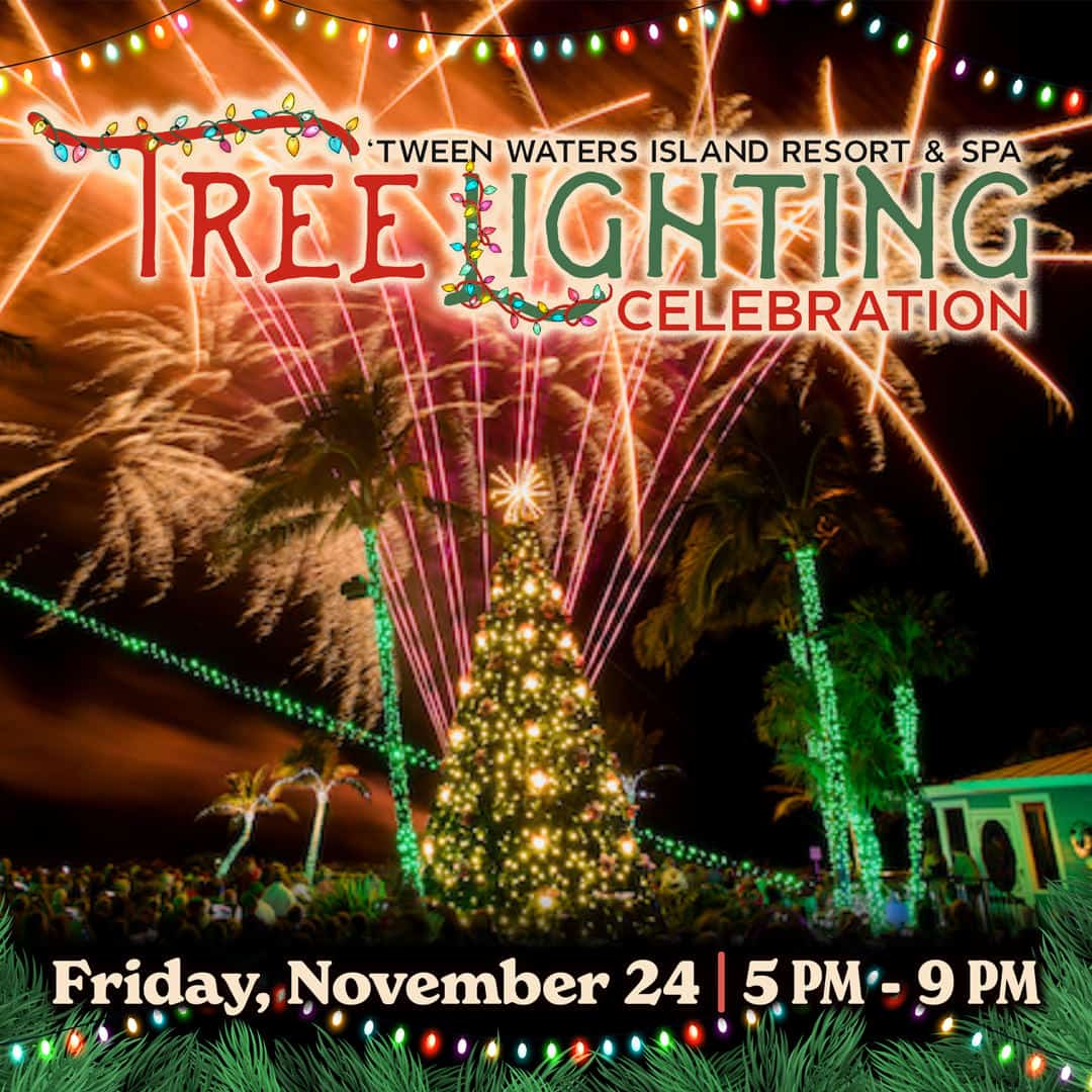 15+ Suisun Tree Lighting 2023 EllaAmritha