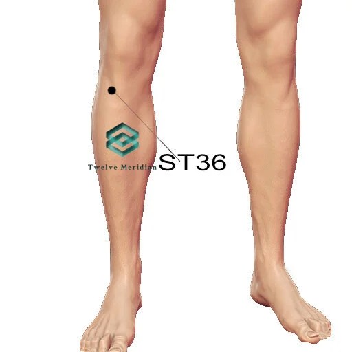 Top 5 Acupressure Points For FAST Weight Loss Twelve Meridian