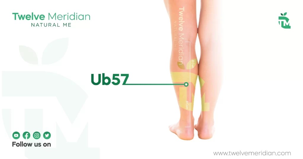 6 Best Acupressure Points For Muscle Cramps Twelve Meridian Twelve