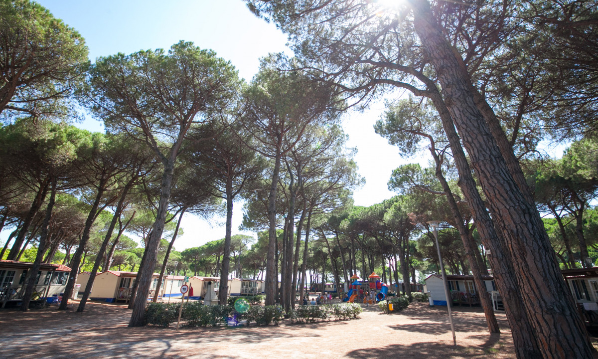 Camping sul Mare Adriatic Coast Italy Allcamps