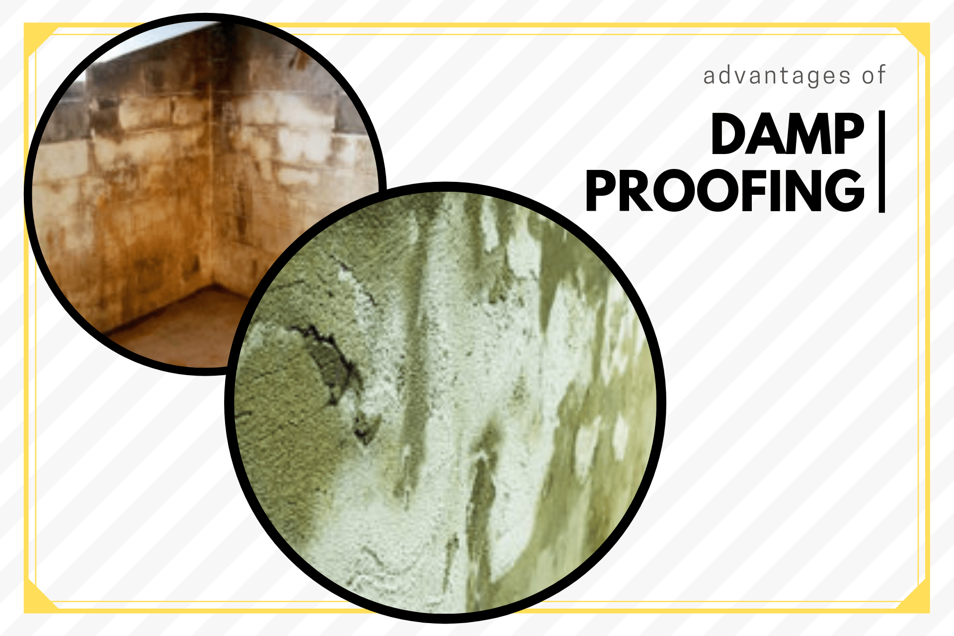 A Brief Overview of the Advantages of Damp Proofing the House Digital