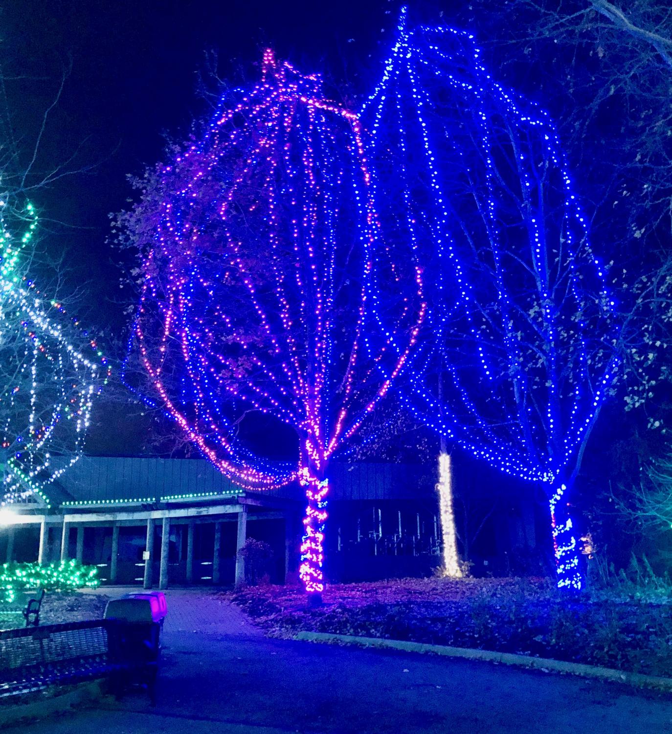 Columbus Zoo Zoolights Hours Shelly Lighting