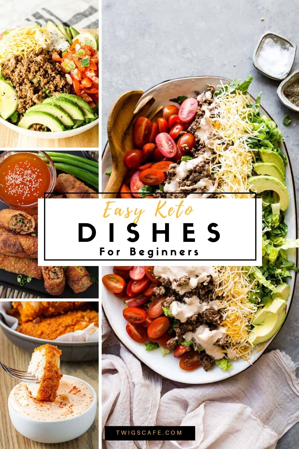 22 Easy Keto Recipes For Beginners Twigs Cafe