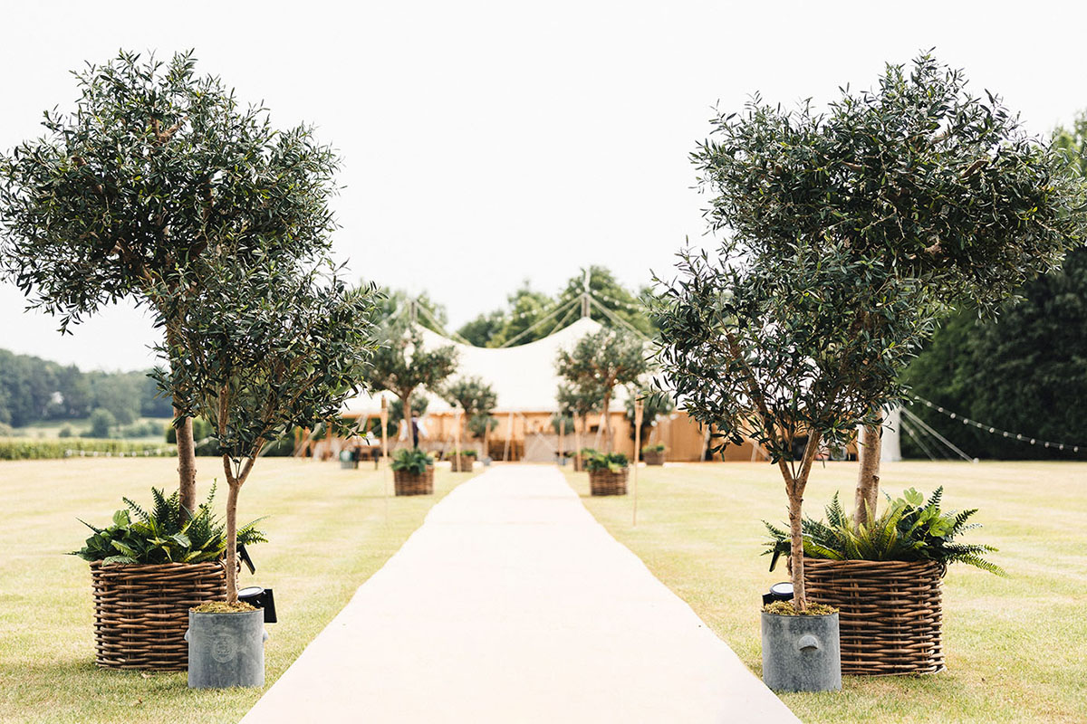 Stretch Tent Wedding with Olive Collection trees Twilight Trees