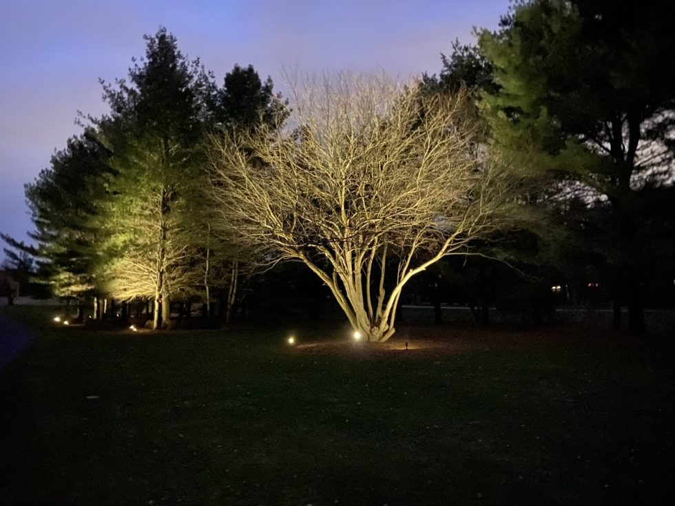 Architectural Outdoor Lighting By Landscape Lighting Specialists