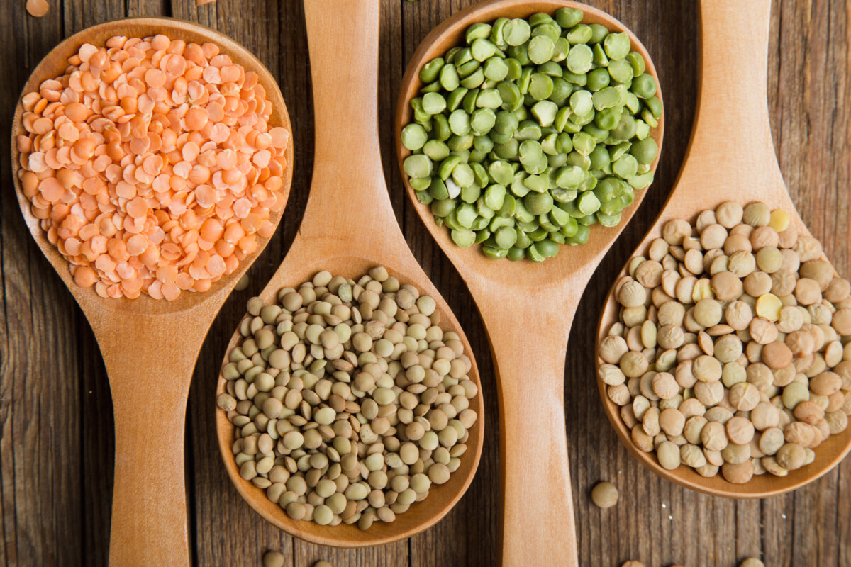 Twin City Produce Springdale Delivery Fesh Produce since 1995