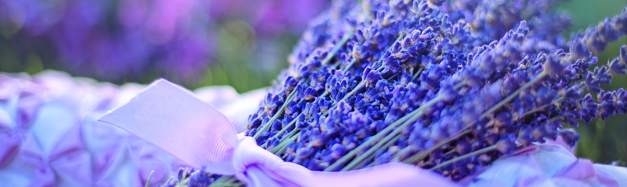 Twin Creeks Lavender An over 100 year old familyowned farm