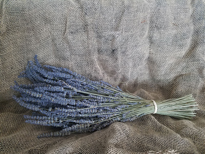 Lavenderbundle Twin Creeks Lavender