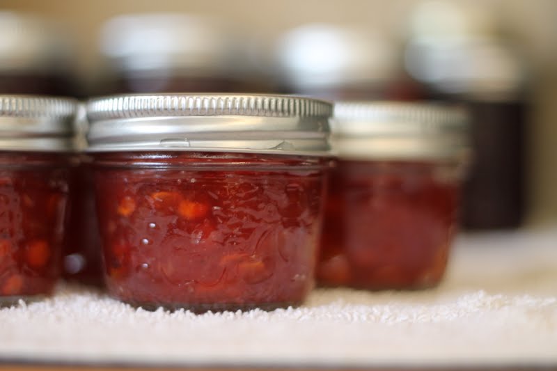 Canning Spiced Apple Cranberry Jam » Homemade Heather