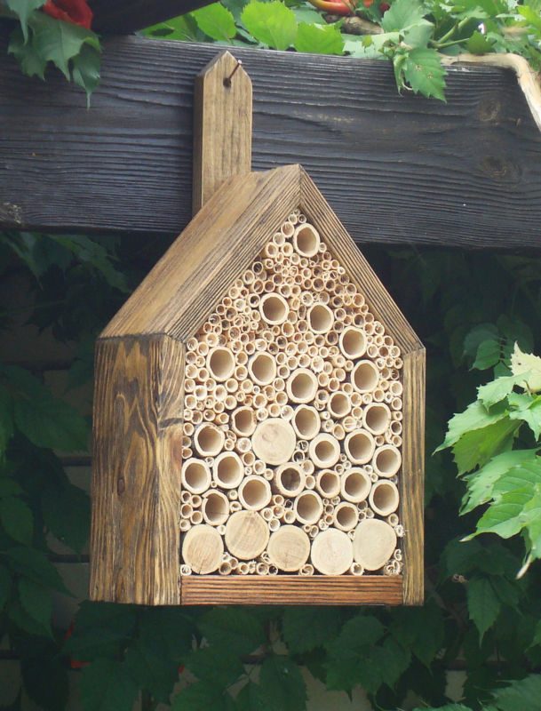 20+ Bee Friendly Ideas for the Garden » Dragonfly Designs