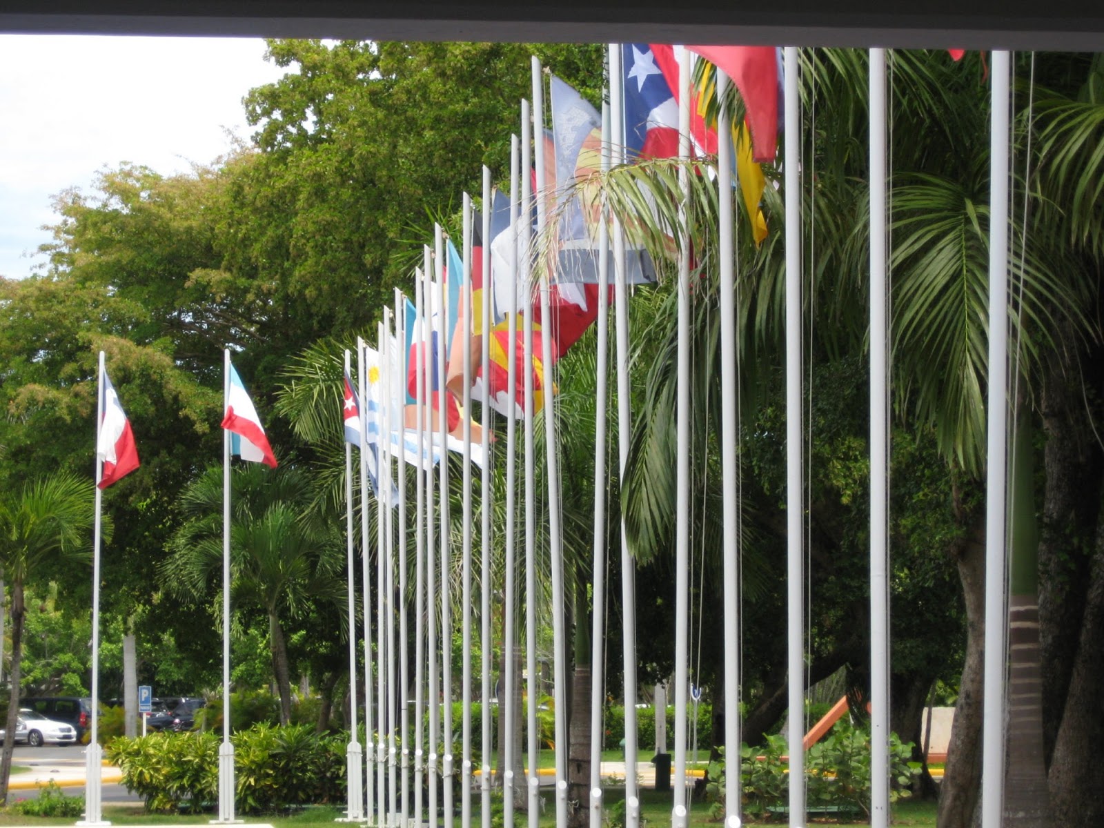 flags Twinfield Caribbean