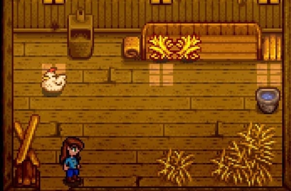 Stardew Valley How to Feed Chickens