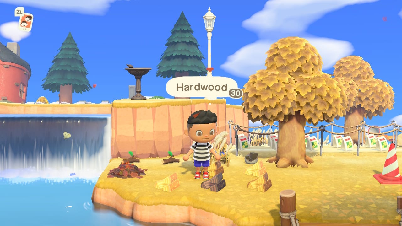 How To Delete Animal Crossing Island Pin by Rachel Haley on ACNH