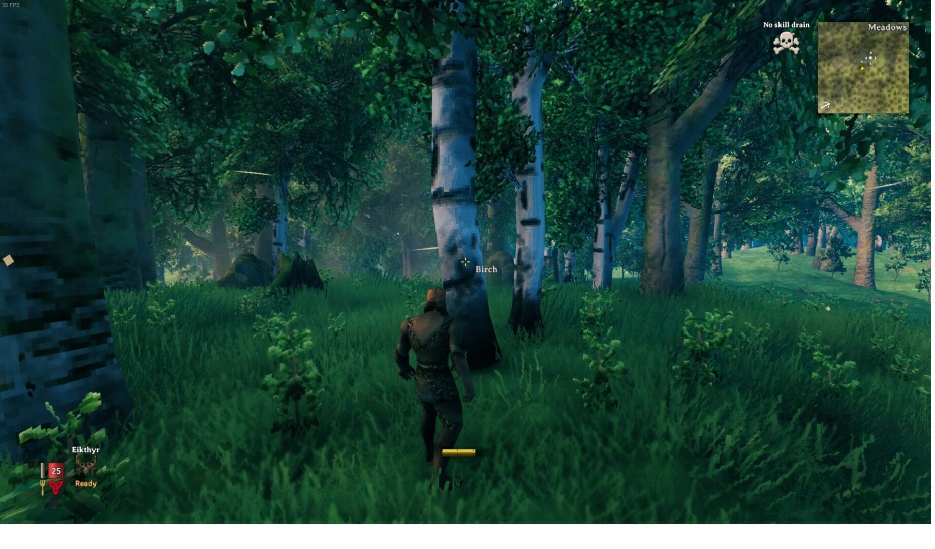 Valheim Can You Get Birch Seeds? Answered