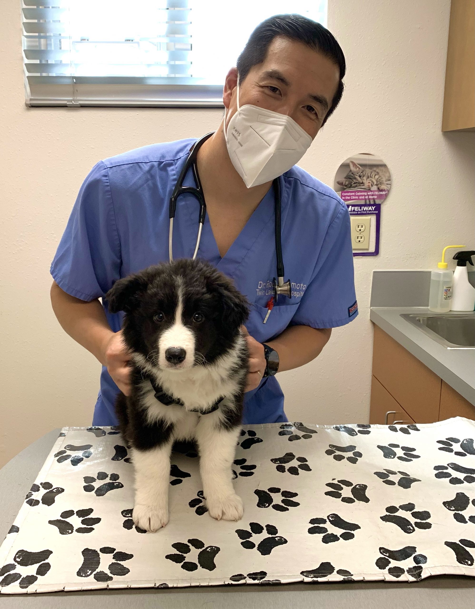 Tender Care Veterinary Clinic / Tender Care Veterinary Clinic Hopkins