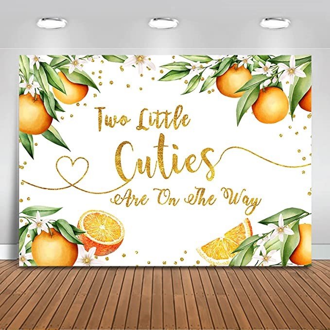 Twin Baby Shower Twinmom