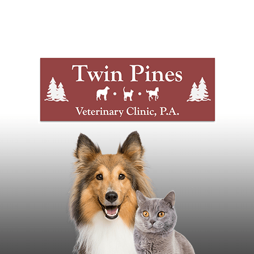 Vet Clinic in Hinckley, MN & Sandstone, MN Animal Clinic