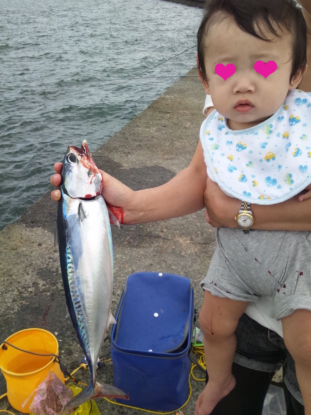 [最も共有された！ √] 静浦港 釣り禁止 293761静浦港 釣り禁止 コロナ Nyosspix4tha