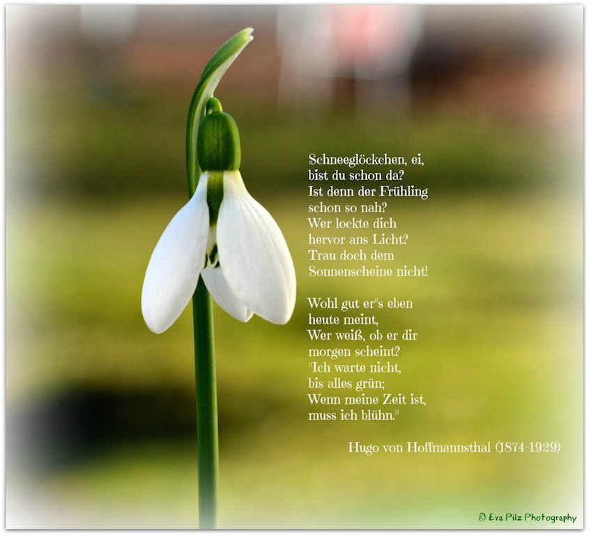 Februar 2016 Twinsie's Blog Seite 2