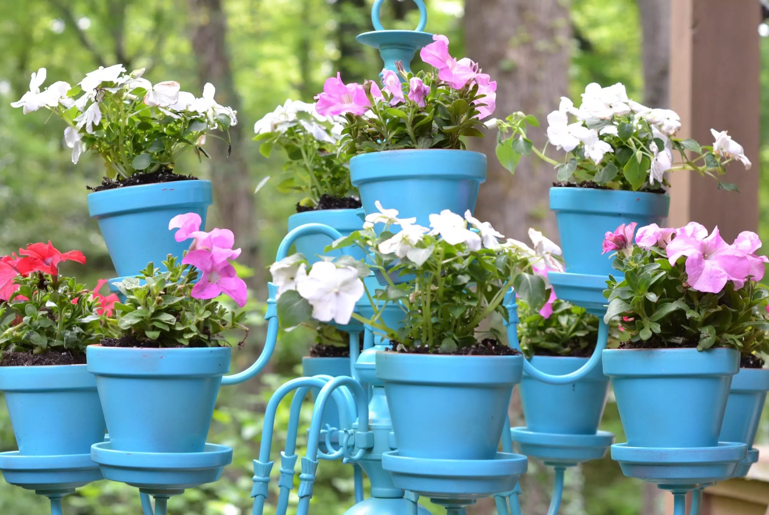 7 Creative Things You Can Use Instead Of Flower Pots Twin Stripe