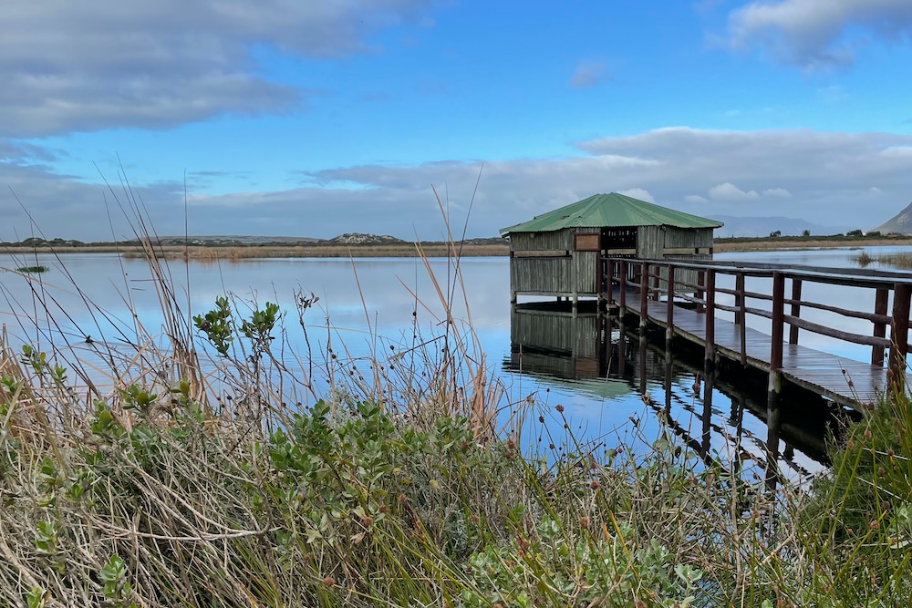 14 FABULOUS EXPERIENCES IN MUIZENBERG & ST JAMES, SOUTH AFRICA