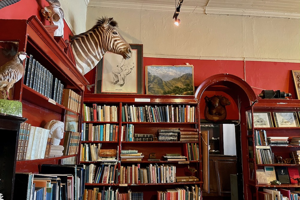 Discover 14 fantastic experiences in Kalk Bay