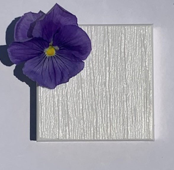 NEW Premium HDPE Wood Grain Finishes from Open Air Twisted