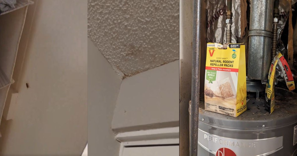 Woman Rented An Airbnb For 2,500 A Month And Found It’s Full Of